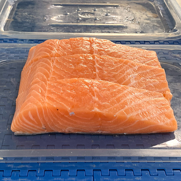 SALMON-ON-TRAYS